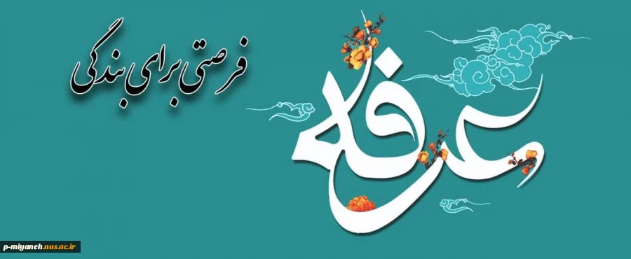 عرفه فرصتی برای بندگی